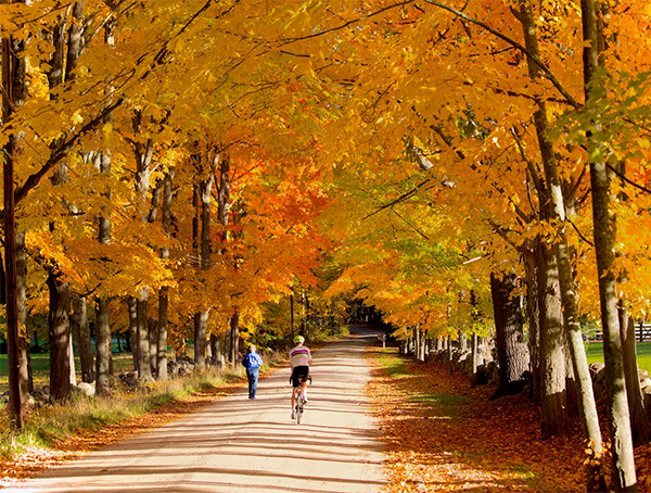 >Fall Travel Trends: How to Score the Best Hotel and Flight Deals This Season