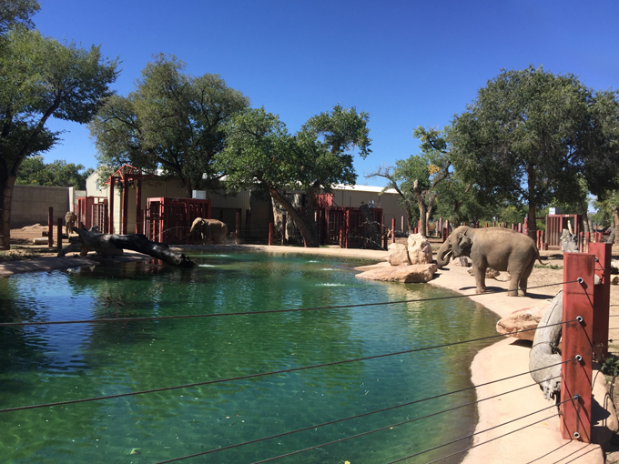 At the Zoo