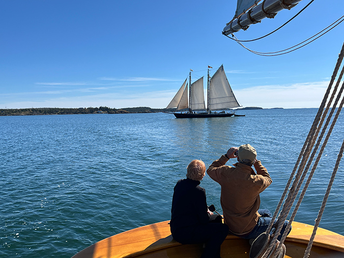 The Sailing Life
