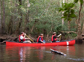 Thoroughbred Country, South Carolina