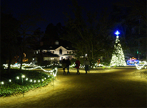 South Carolina's Thoroughbred Country