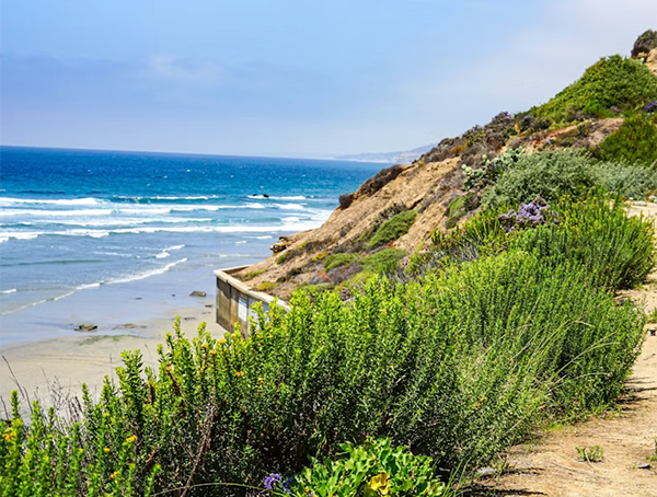 2026 Travelers' Choice® Awards: Best of the Best Beaches