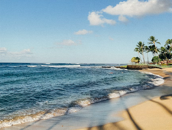 The Top 10 Beaches of 2026