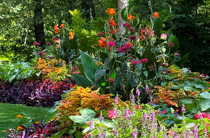 Garden Paths