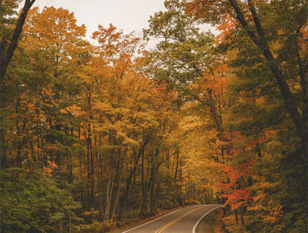 Expedia's Fall Travel Outlook