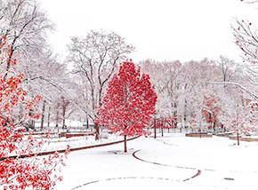 New Map Shows Where US Could See the Most Rain and Snow This Winter
