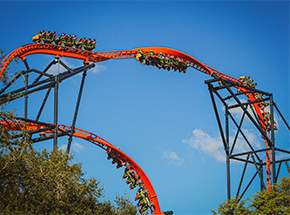 Busch Gardens Parks