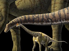 Denver Museum of Nature & Science