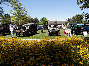 Old Car Festival