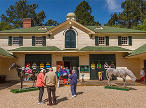 South Carolina's Thoroughbred Country