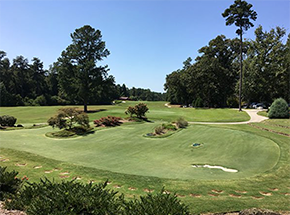 Thoroughbred Country, South Carolina