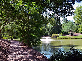 Thoroughbred Country, South Carolina