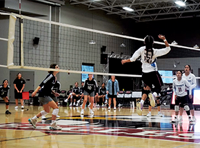 FIVB Women's Volleyball World Cup