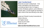 1/12-Page Photo Ad